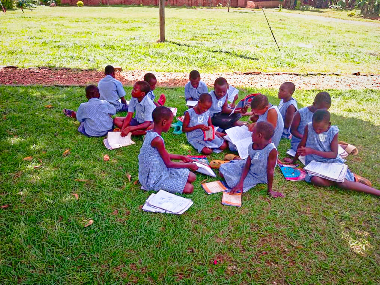 children sitting on grass